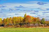 Autumn Landscape_28650